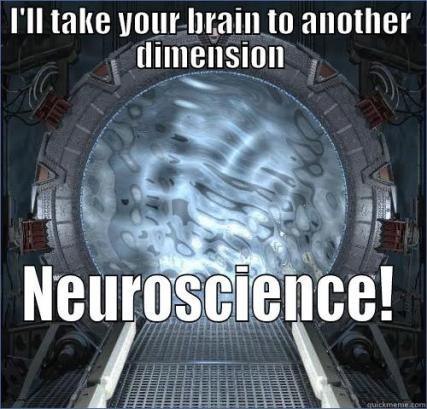 Brain Dimension